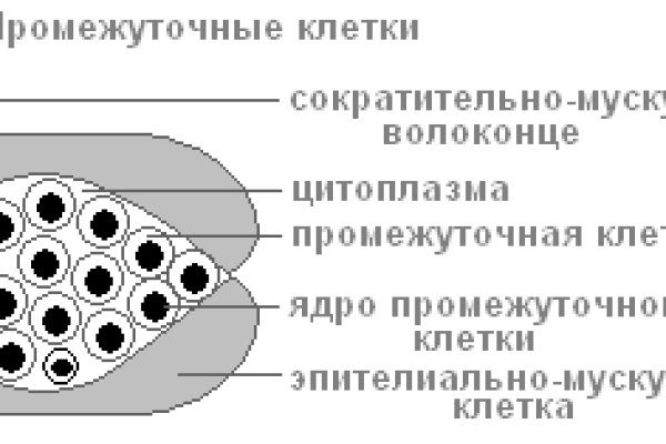 Кракен не работает сегодня