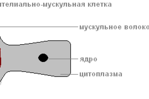 Вместо гидры