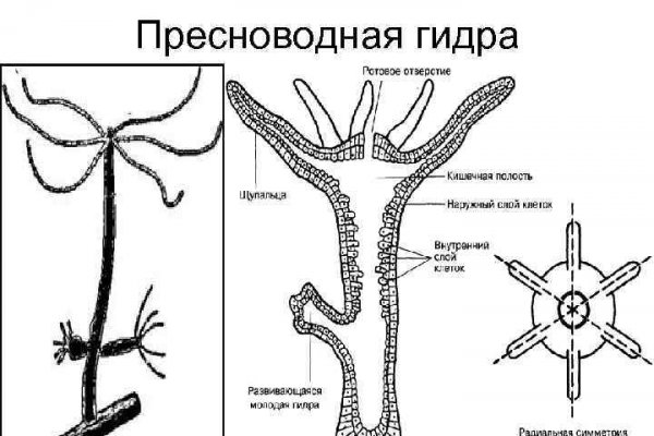 Кракен ссылка