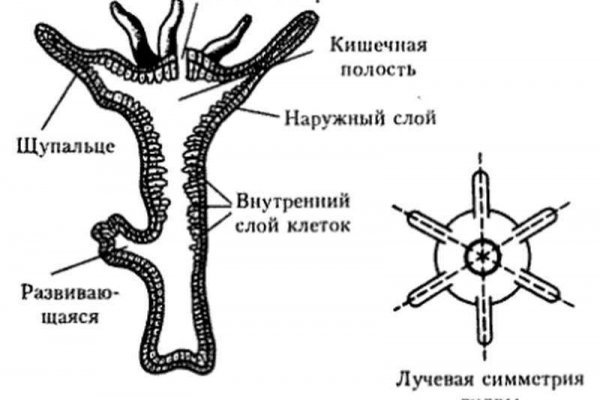 Кракен площадка