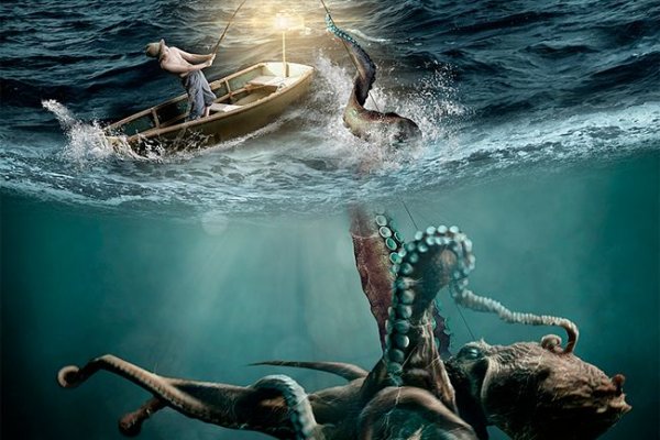 Http kraken2