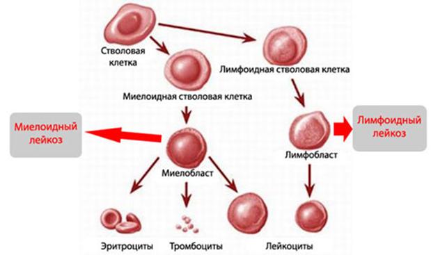 Kraken зеркало kraken 6 onion